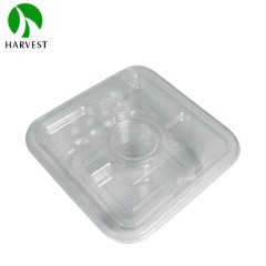 PET Recyclable 2-Layer Salad Container - HS Layer Series