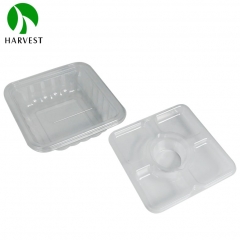 HS双层系列 PET可回收塑料双层沙拉盒