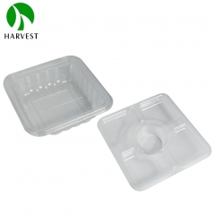 PET Recyclable 2-Layer Salad Container - HS Layer Series