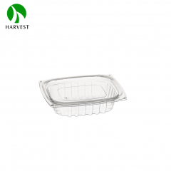 Rectangle Disposable Plastic Salad Container - HB Series