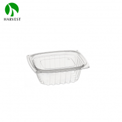 Rectangle Disposable Plastic Salad Container - HB Series