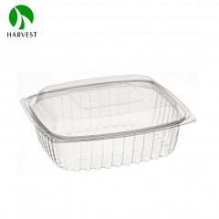 Rectangle Disposable Plastic Salad Container - HB Series