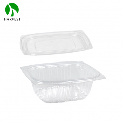 HB系列 长方形一次性塑料沙拉盒
