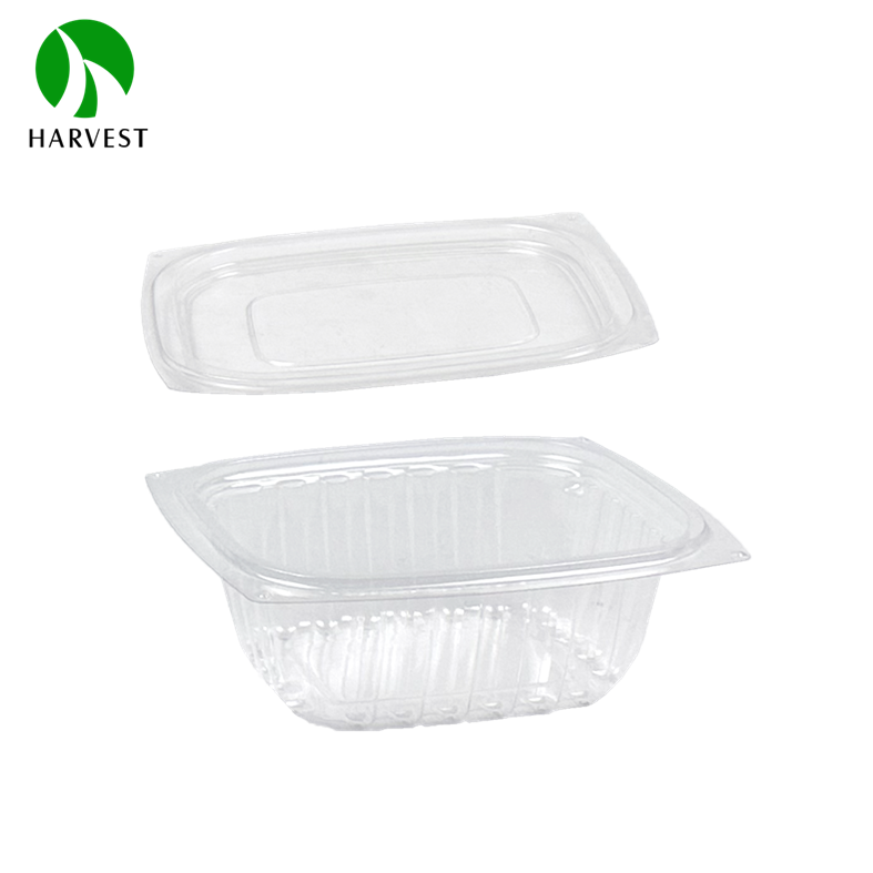 Rectangle Disposable Plastic Salad Container - HB Series