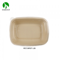 Rectangle Pulp Food Box - CR Rectangle Series