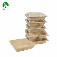 CS系列 8寸、9寸方形竹浆环保餐盒