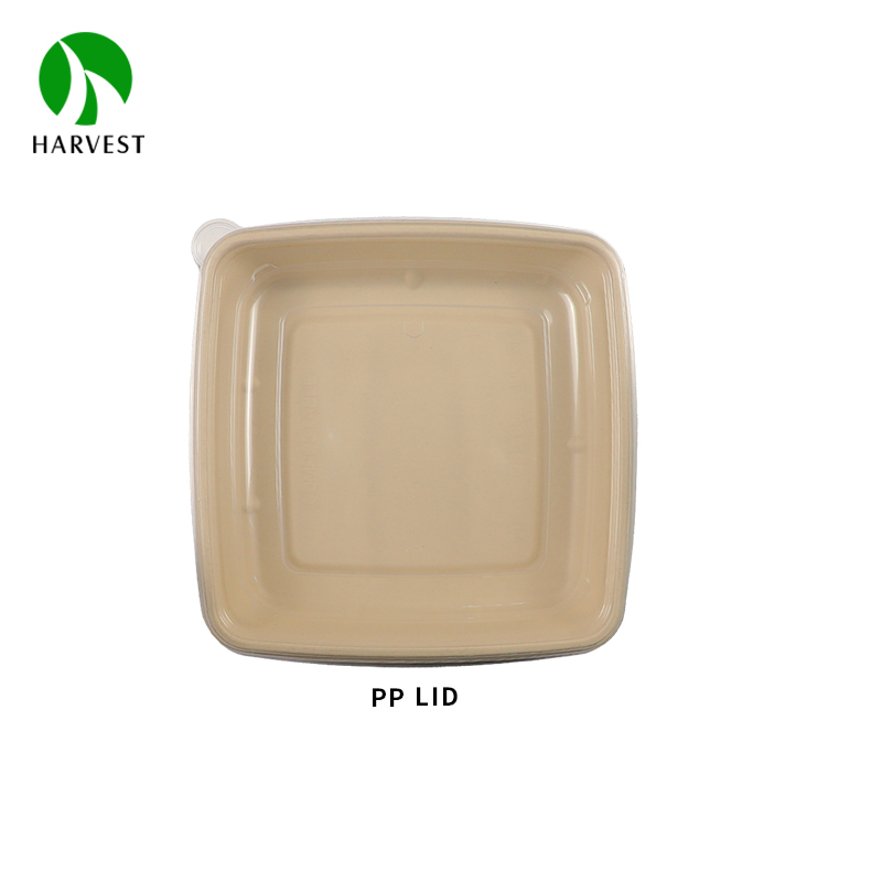 8" 9" Square Pulp Food Bento Box - CS Series