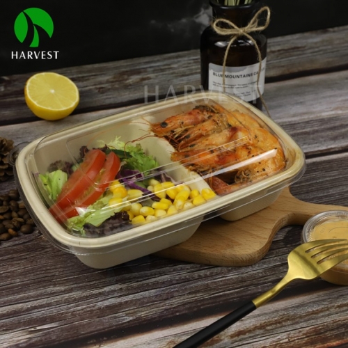 Harvest Food Packaging  CR Rectangle Series Biodegradable Food