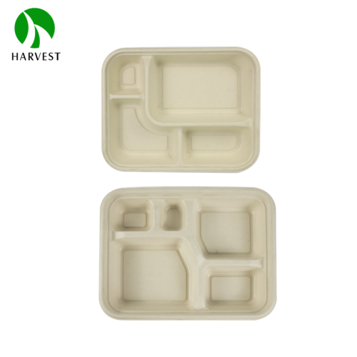 Pulp Bento Box - CJ Series