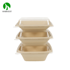 7" Square Pulp Food Poke Bowl - CP Series