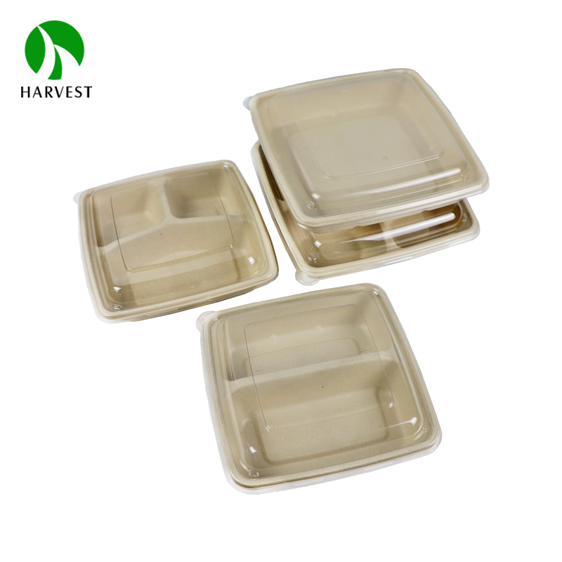 Pulp Large Sandwich Container