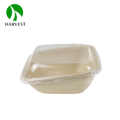 7" 8" Square Pulp Food Bowl With Slope - CBS Series