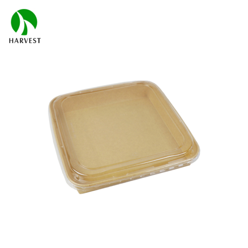 Large Square Paper Sushi Tray - PH Square Series