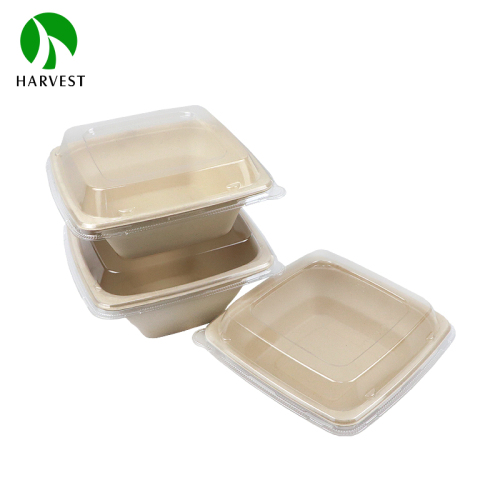 7" Square Pulp Food Poke Bowl - CP Series