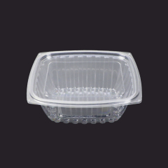Rectangle Disposable Plastic Salad Container - HB Series