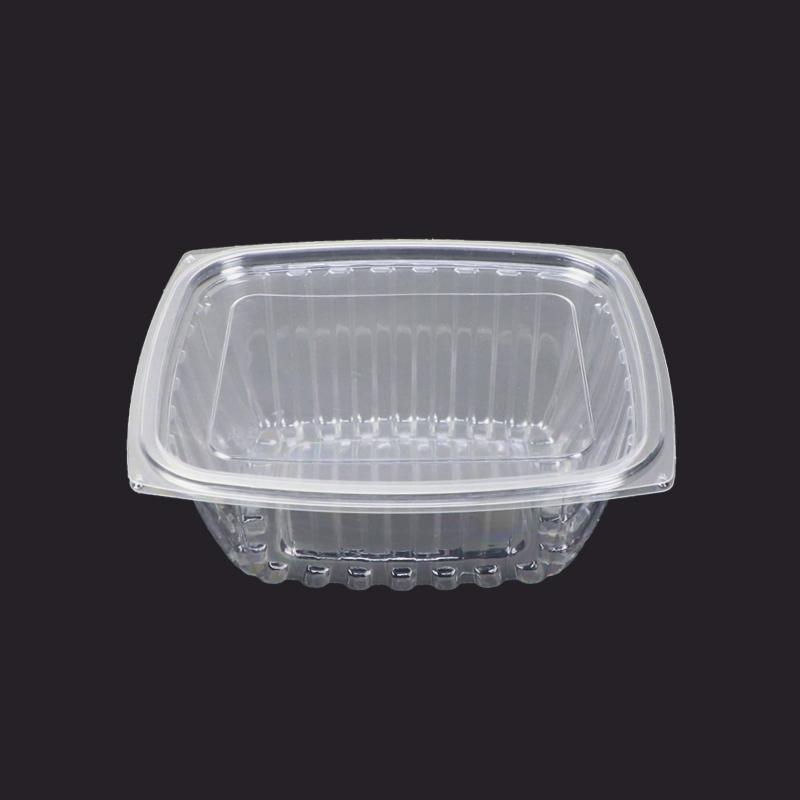 Rectangle Disposable Plastic Salad Container - HB Series