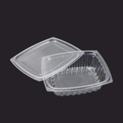 Rectangle Disposable Plastic Salad Container - HB Series