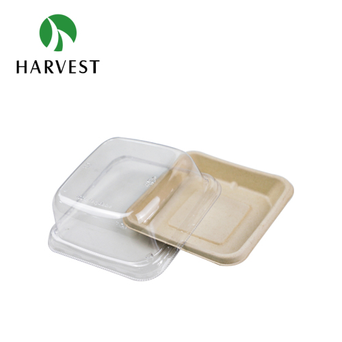 6" Square Pulp Food Tray - CT06