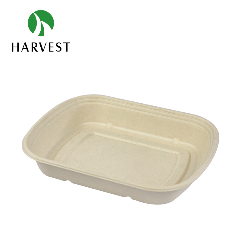 Pulp Food Bento Box - CRO Series
