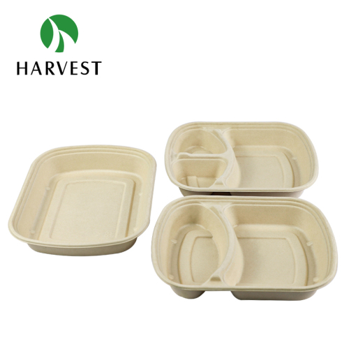 Pulp Food Bento Box - CRO Series