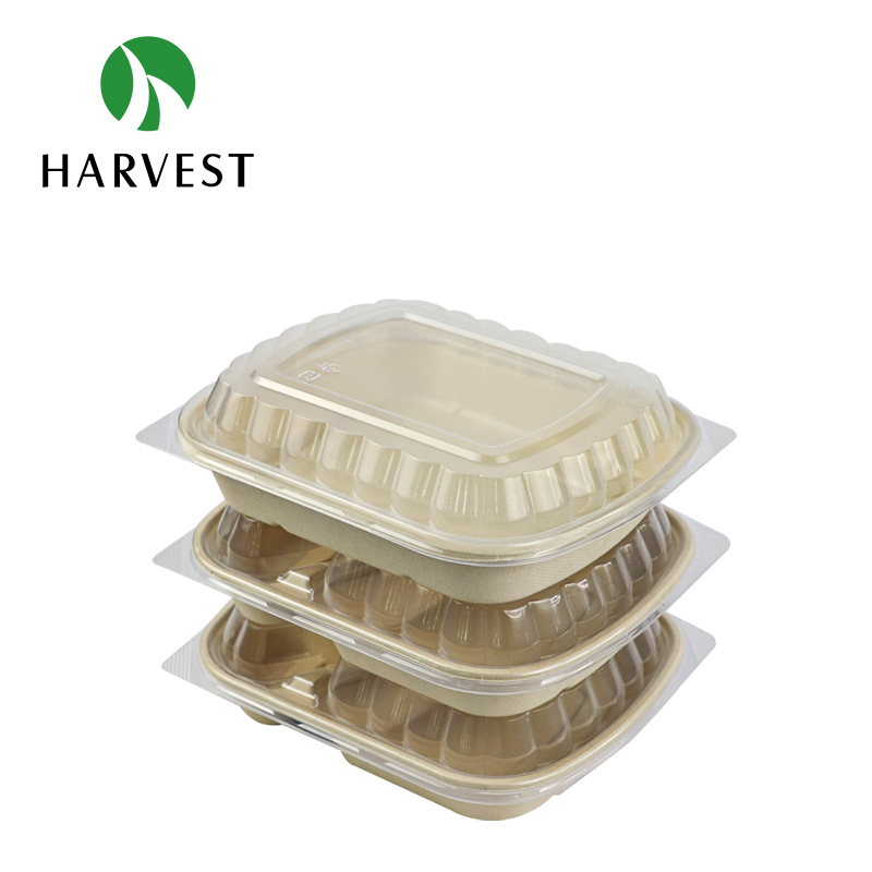Pulp Food Bento Box - CRO Series