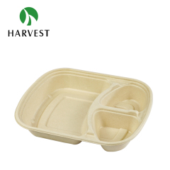 Pulp Food Bento Box - CRO Series