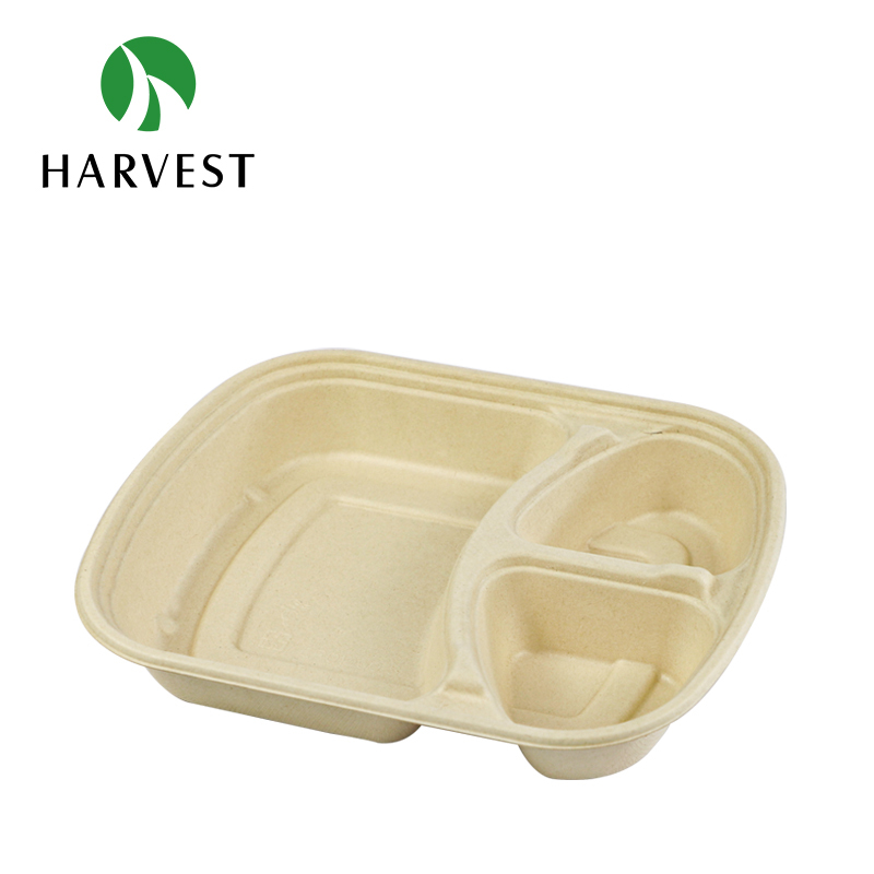 Pulp Food Bento Box - CRO Series