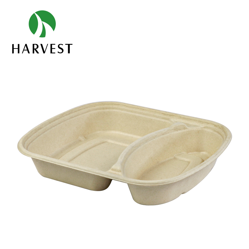 Pulp Food Bento Box - CRO Series