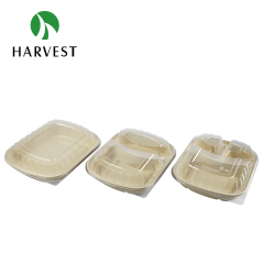 Pulp Food Bento Box - CRO Series