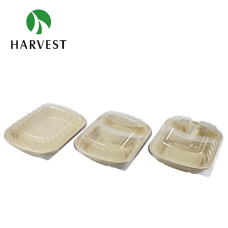 Pulp Food Bento Box - CRO Series
