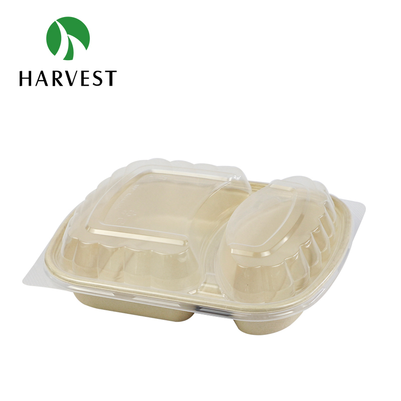 Pulp Food Bento Box - CRO Series