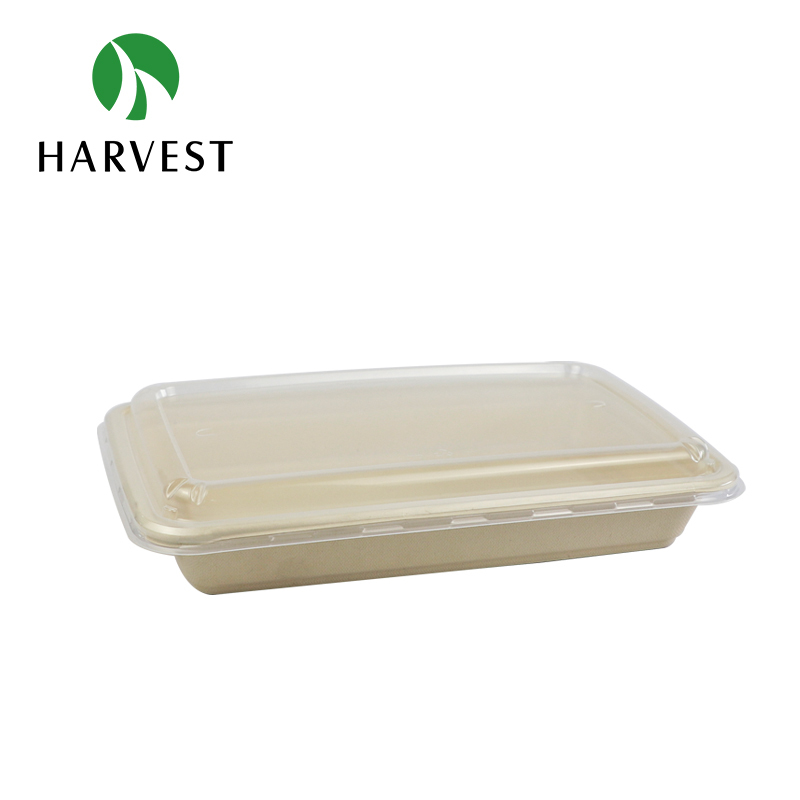 Rectangle Pulp Food Container - CRT1500