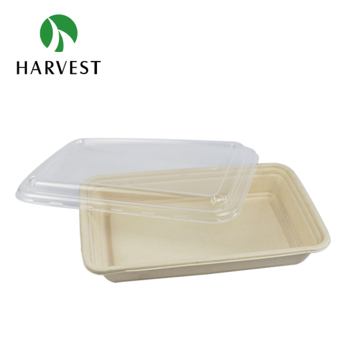Rectangle Pulp Food Container - CRT1500