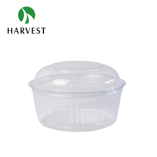 Round PET Plastic Food Container With Hinged Lid HS-100
