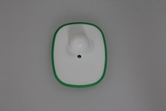 Green, White Steel Pin (P01)