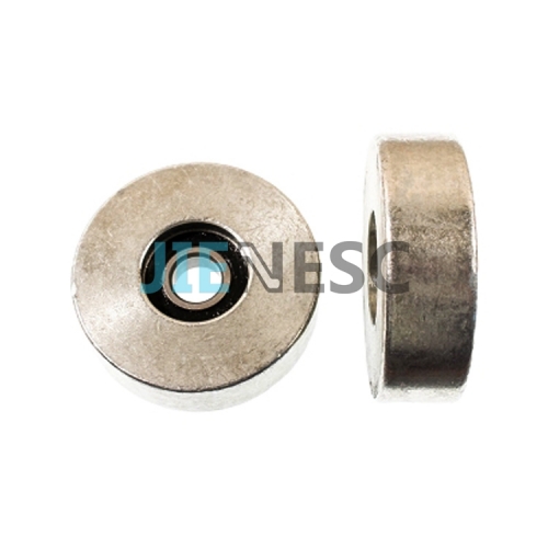100*30mm 6204 escalator roller for Canny