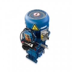 YFD132M-4 and FTJ125CR-2 7.5KW escalator motor for Otis from Jiali