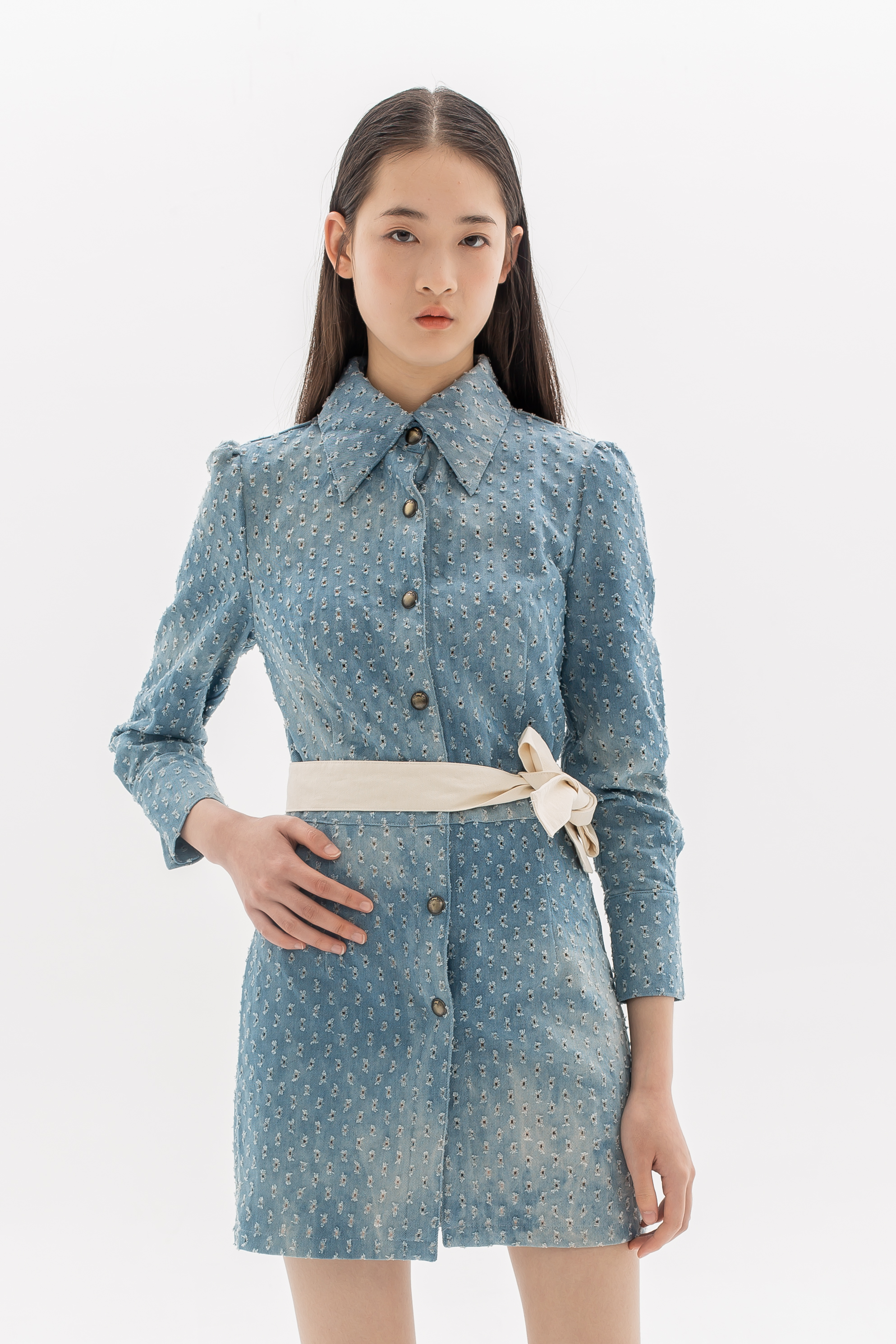 Denim Blouse Dress