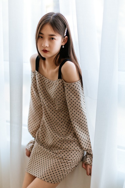 Khaki Dotted Dress