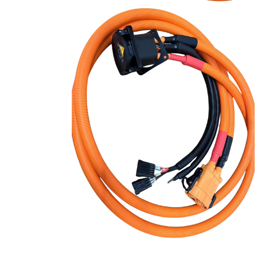 High-Voltage (HV) Power Battery Wiring Harness for Electric Vehicles &amp; Hybrids