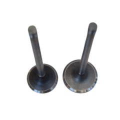 Cummins Inlet Valve 3921444 & Outlet Valve 3924492 (for 6CT engines).