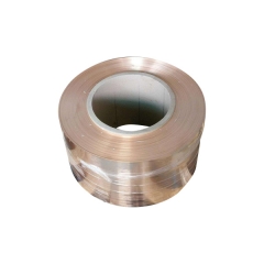 Phosphor Bronze Strip