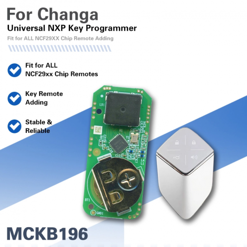 NXP Killer adapter（B196）