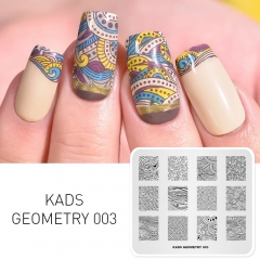 GEOMETRY 003 Nail Stamping Plate Geometry Paisley Pattern & Wave