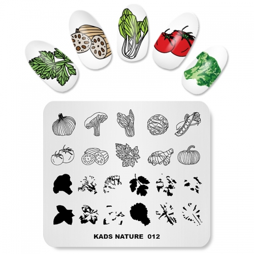NATURE 012 Nail Stamping Plate Nature Vegetables