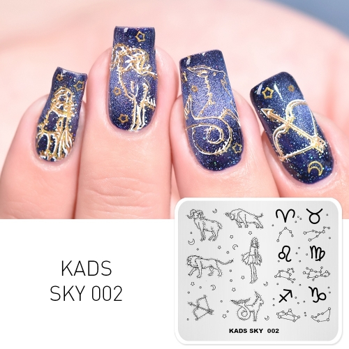 SKY 002 Nail Stamping Plate Sky Constellation