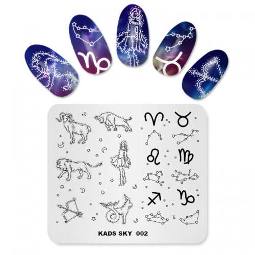 SKY 002 Nail Stamping Plate Sky Constellation
