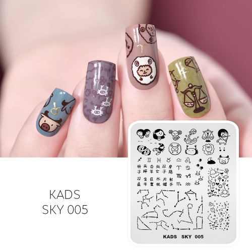 SKY 005 Nail Stamping Plate Constellation