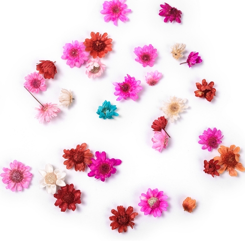 Nail Decoration Stereoscopic Dried Flowers