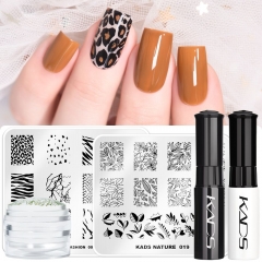 Nail Art Beginner Stamping Kit